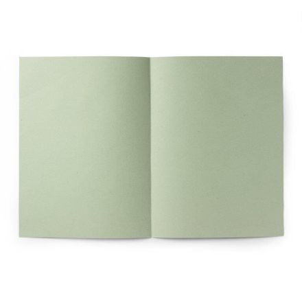 Cartelline semplici Pigna - Cartoncino - 145 g - con stampa - Verde