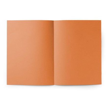 Cartelline semplici Pigna - Cartoncino - 145 g - con stampa - Arancio