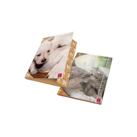 Cartella 3 Lembi Dolci Cuccioli Dorso 1,2 - Dorso 1,2 - Elastico Tondo - Colori assortiti